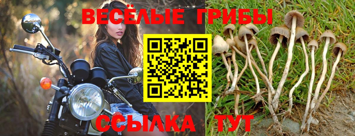 Галлюциногенные грибы MAGIC MUSHROOMS  Вход с VPN  Ревда  Псилоцибиновые грибы прущие грибы 